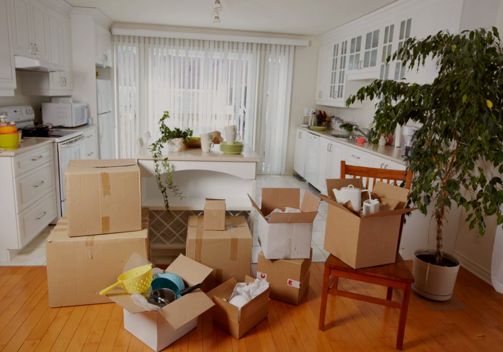 Same-day / last-minute moving in Chatsworth
